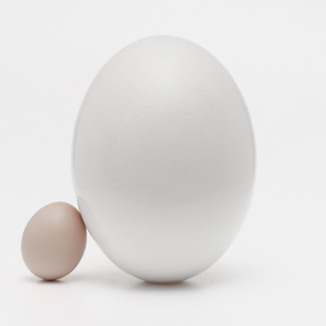 Jajko duże i małe