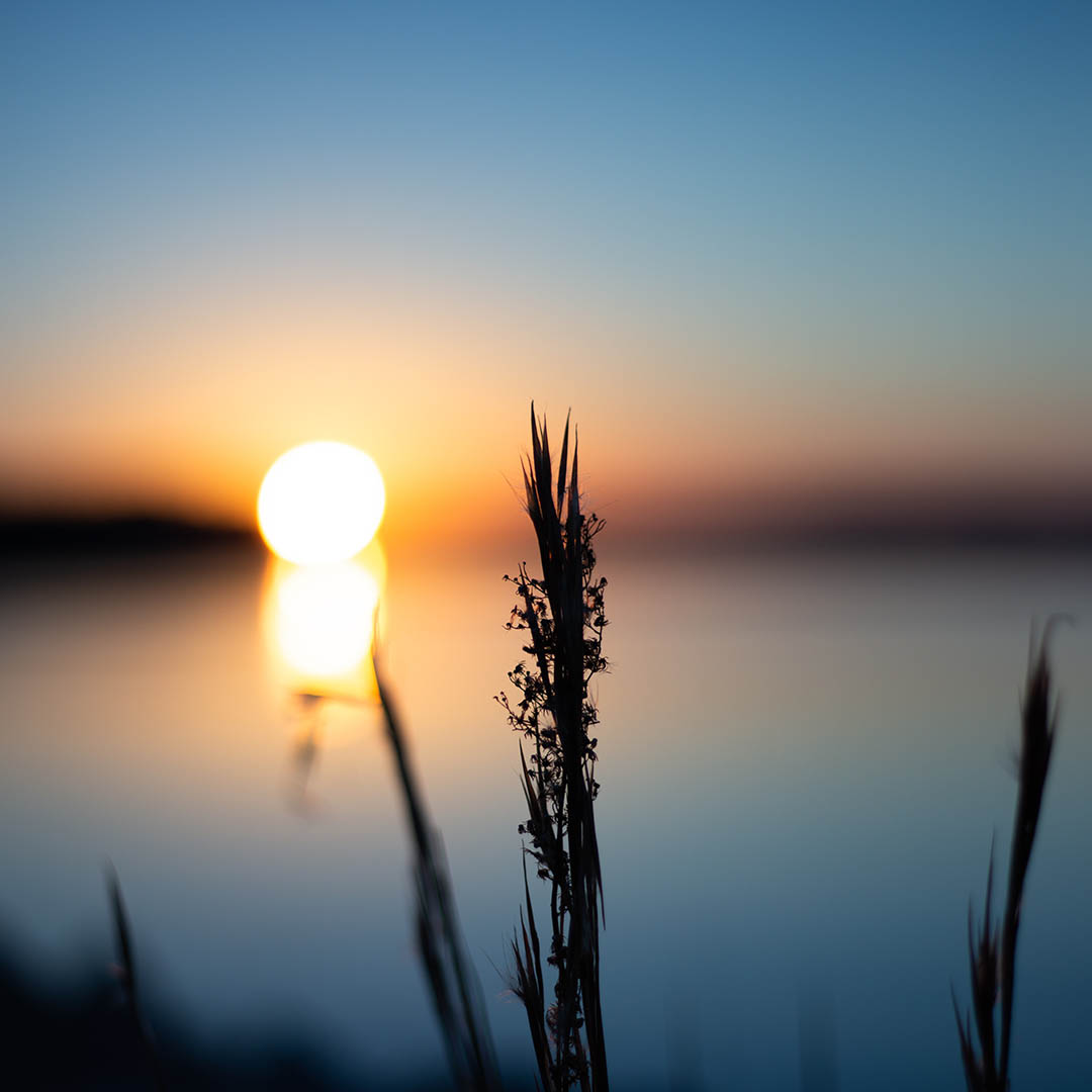zachód słońca nad jeziorem na tle traw