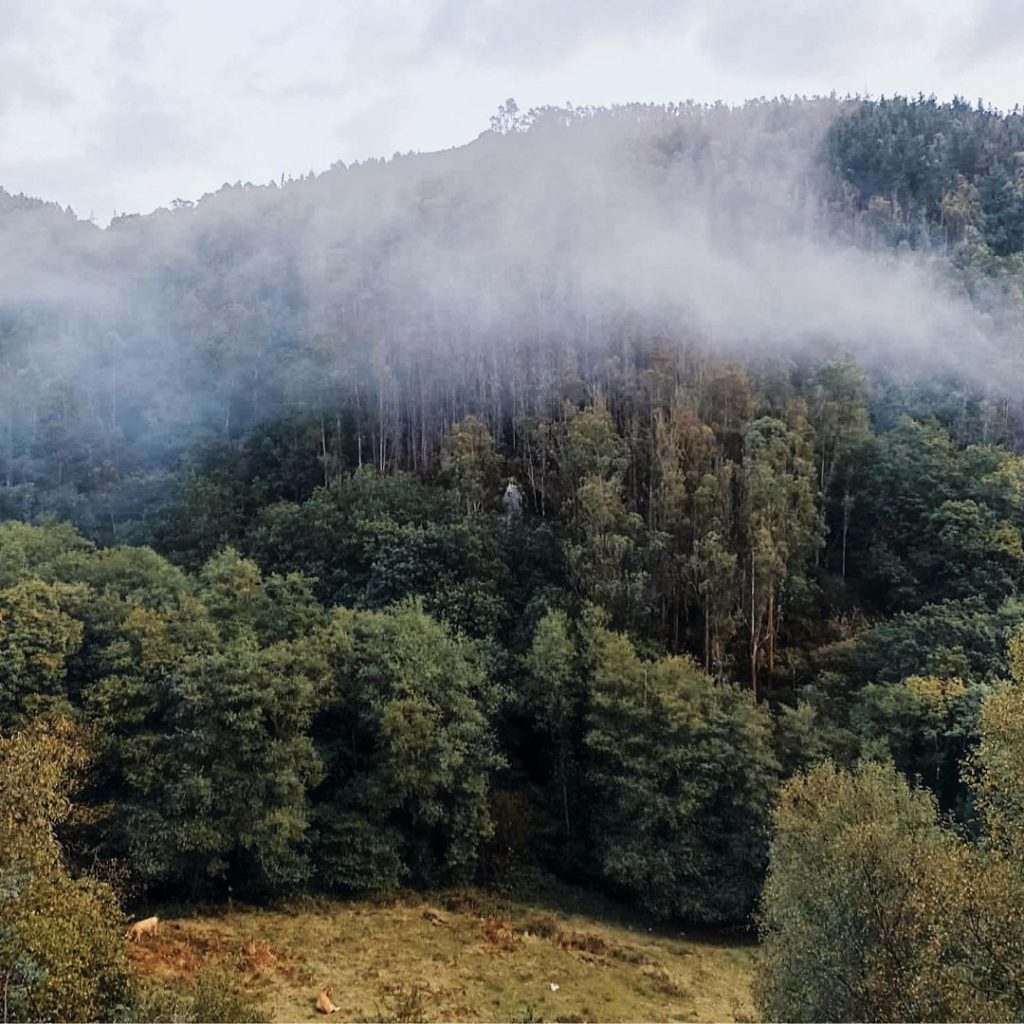 pielgrzymka szlak Camino Primitivo