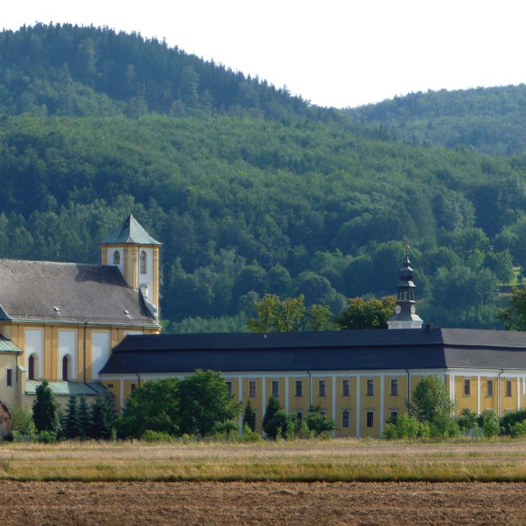 Sprawa godności