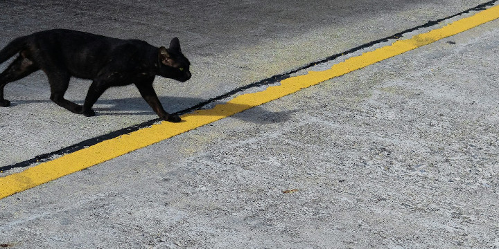 Zabobony mają się dobrze