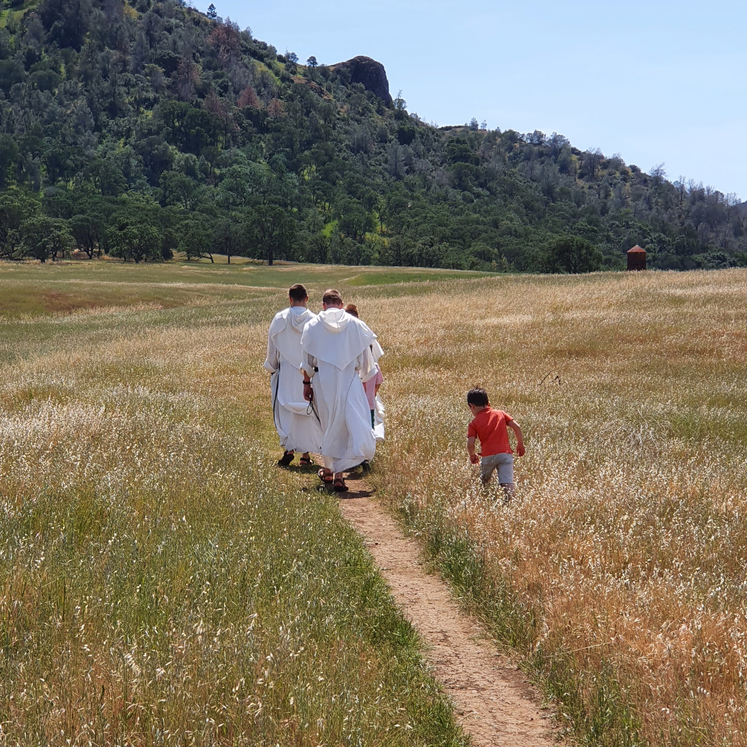 Dominikanie na łące