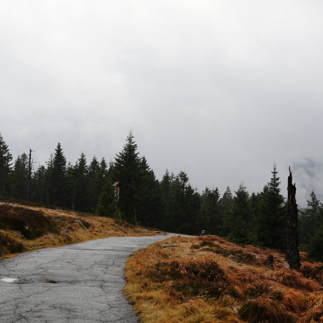 Droga w Karkonoszach