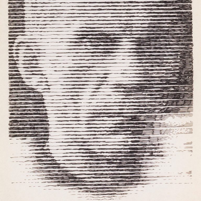 Czy też mogą tu być?