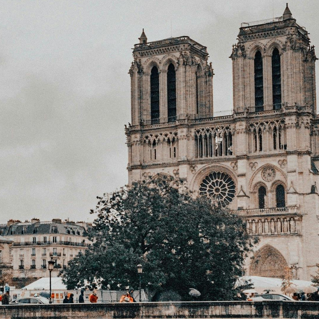 Katedra Notre Dame