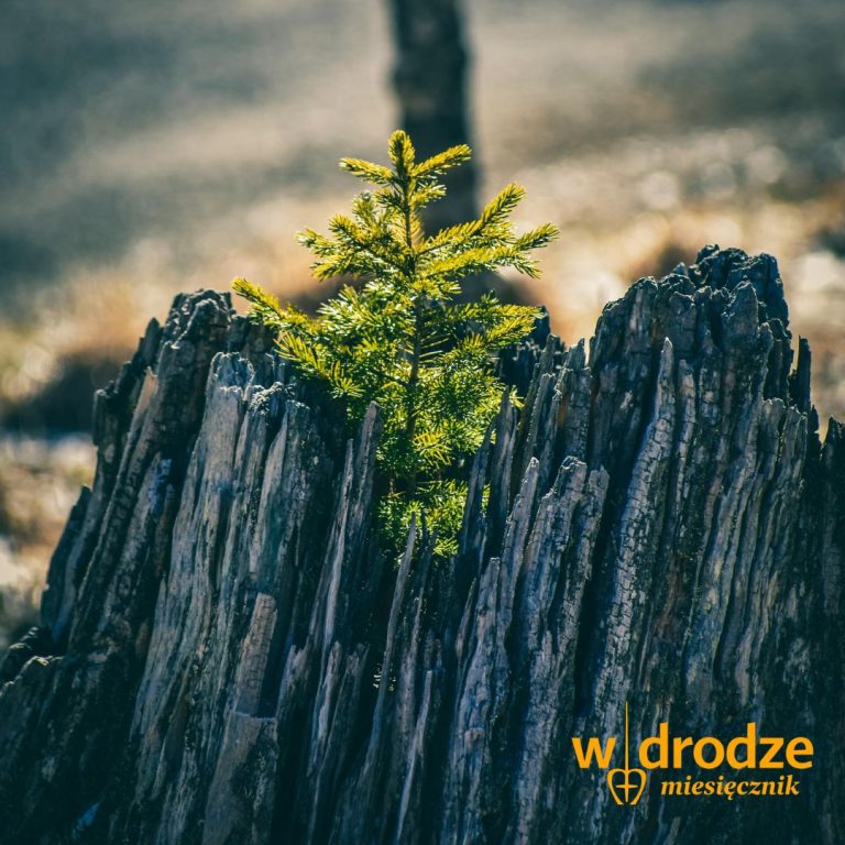 SPOTKANIE: Wychodzenie z mroku – jak sobie poradzić z doznaną traumą