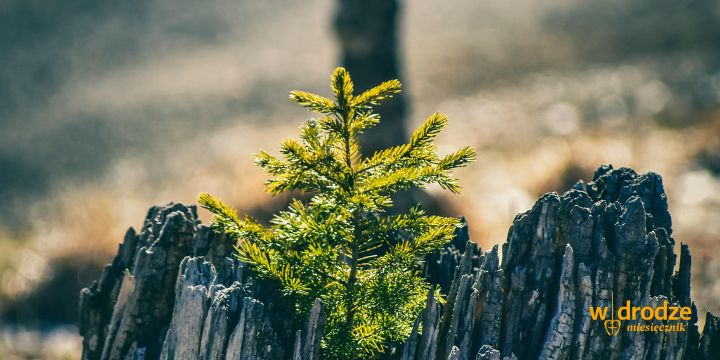 SPOTKANIE: Wychodzenie z mroku – jak sobie poradzić z doznaną traumą